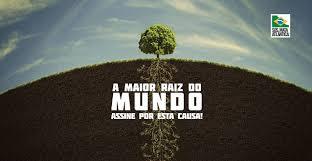Imagem da organização
